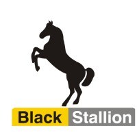 Black Stallion